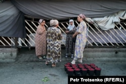 Торговки малиной на базаре Панчшанбе. Худжанд, Таджикистан. 15 июня 2024 года