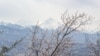 Kazakhstan. Blooming apricot tree against the backdrop of the Big Almaty Peak. Almaty, April 8, 2023