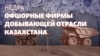 «Недра»: почему в добывающей отрасли Казахстана столько офшорных фирм?