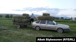 Жеңіл көлігі мен оның тіркемесіне шөп тиеп жатқан адам. Көрнекі сурет.