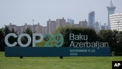 COP29 iqlim sammiti