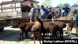 Алматы облысы Жетіген ауылындағы жексенбілік мал базарында. 19 мамыр 2019 жыл.