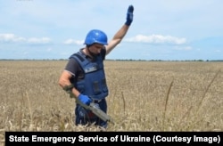 Сапер проверяет пшеничное поле в Черниговской области, 29 июля