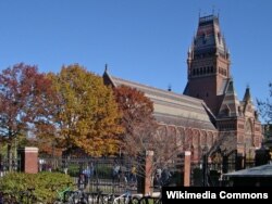 Harvard Universiteti