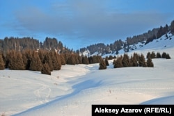 Вид на горы Заилийского Алатау.