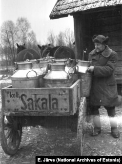 Рабочий колхоза «Сакала» разносит ведра молока в Вильяндиском уезде, 1950 год.