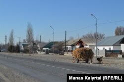 Пенжім ауылының орталық көшесінде кетіп бара жатқан шаруа. Алматы облысы Панфилов ауданы, 6 қараша 2021 жыл.