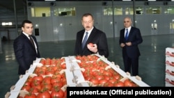 Prezident İlham Əliyev Xəzər rayonunun Zirə qəsəbəsində "BAKU AGROPARK"da. 